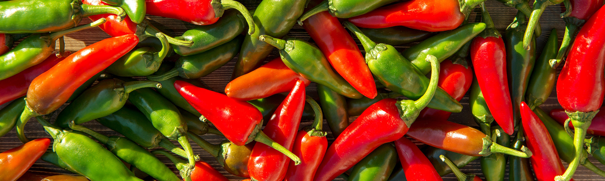 Struikpeper - Capsicum frutescens