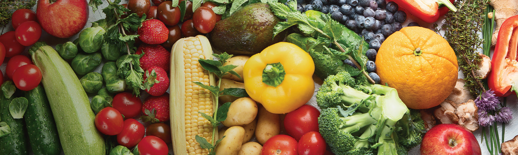 Biologische Zaden voor Groente en Fruit