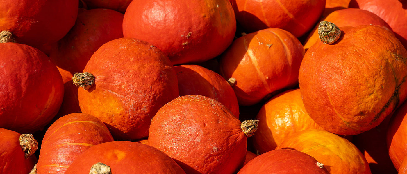 Pompoenen en kastanjepompoenen