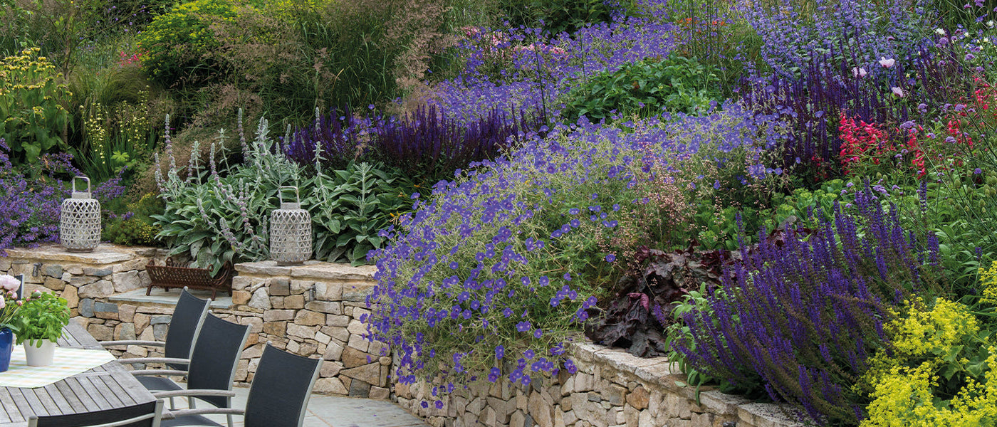 Planten voor struikborders
