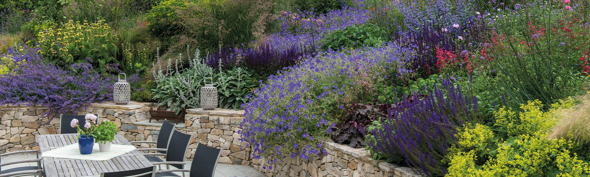 Planten voor struikborders