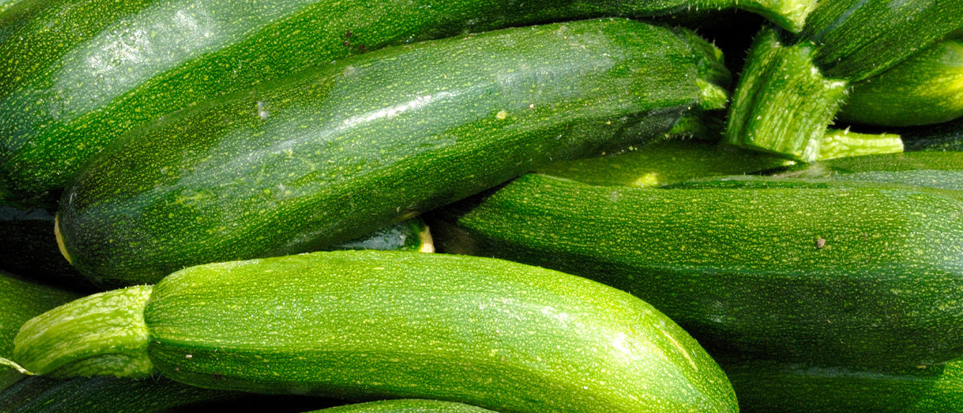 Courgetteplanten