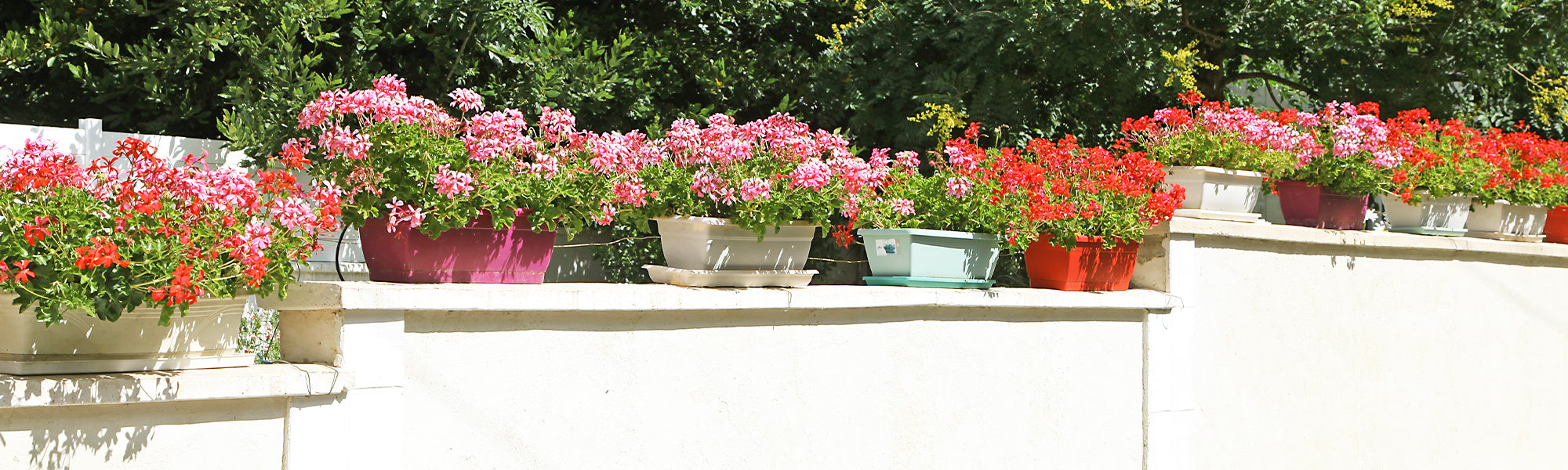 Tuinbakken en balkonbakken