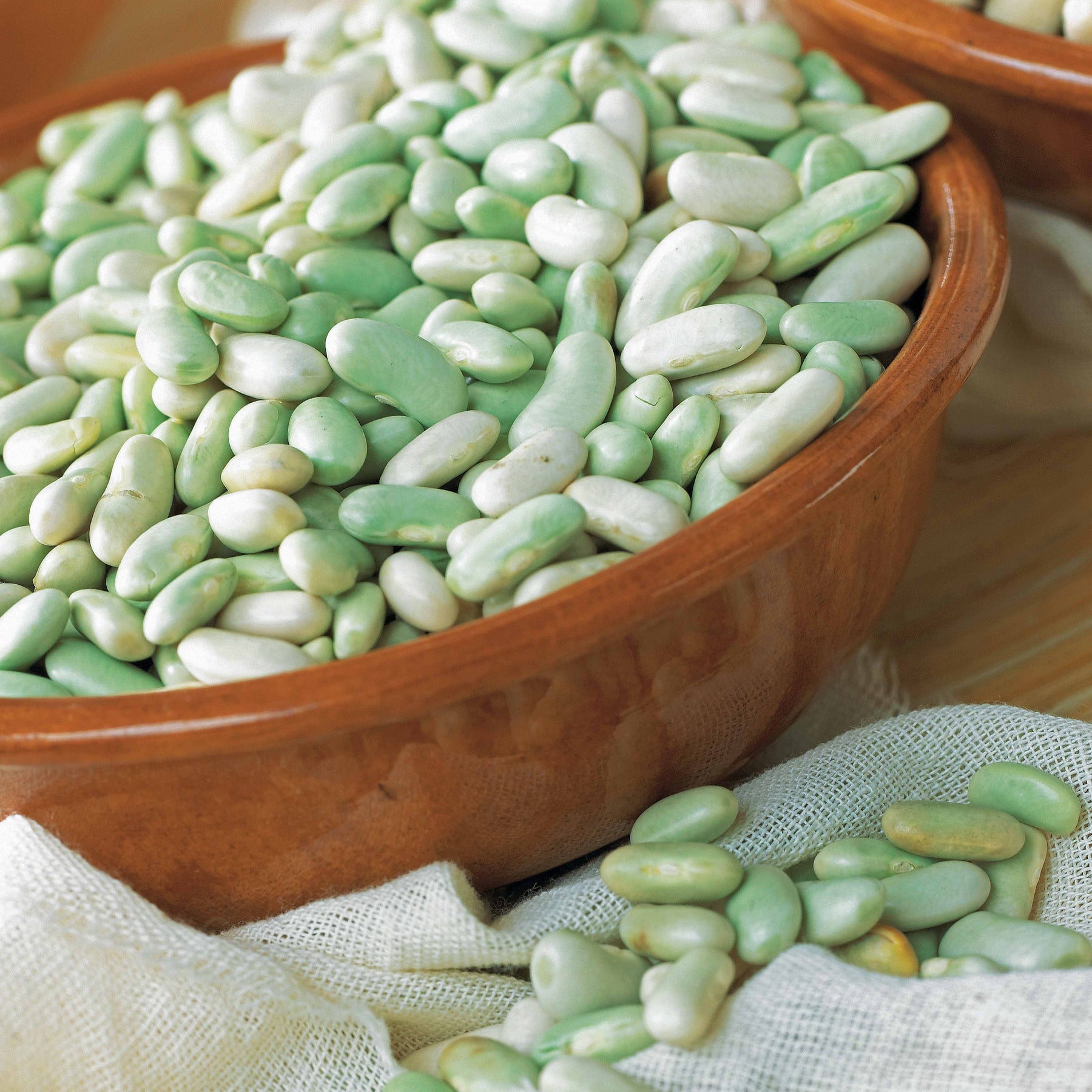 Droogboon 'Verdelys' - Willemse