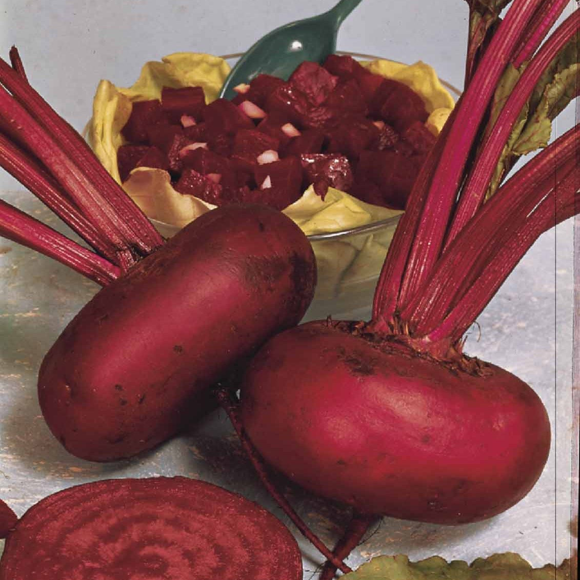 Zwart biet 'Egyptische platronde' - BIO - Willemse