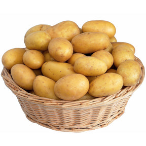 Aardappel 'Blanche' - Willemse