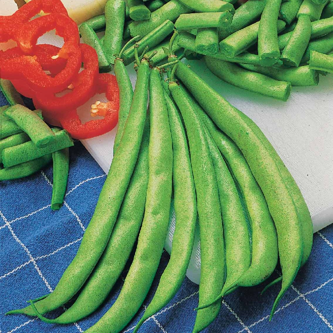 Sperzieboon 'Contender' - Phaseolus vulgaris Contender - Willemse