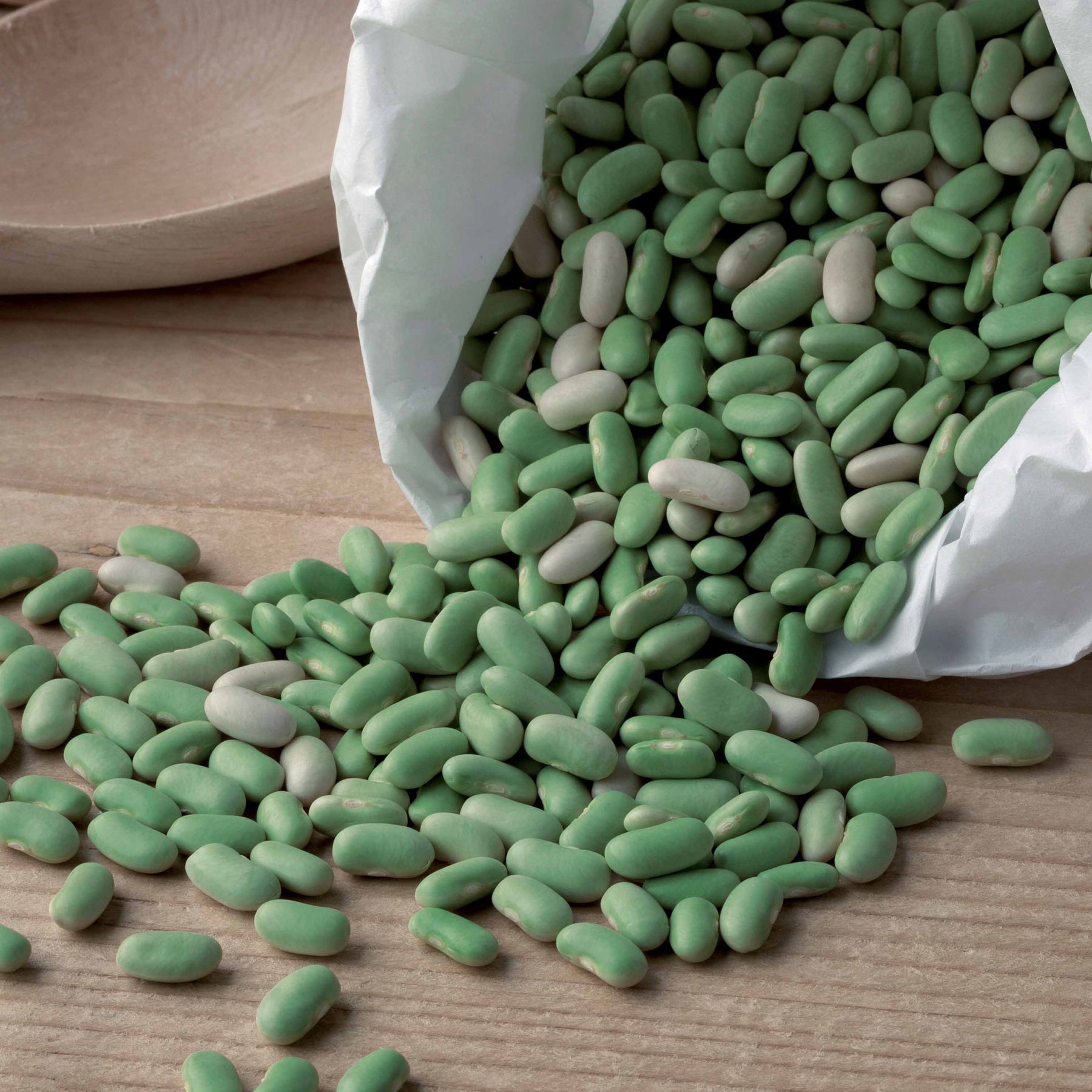 Zaden - Phaseolus vulgaris chevrier vert flagrano - Phaseolus vulgaris chevrier vert flagrano - Willemse