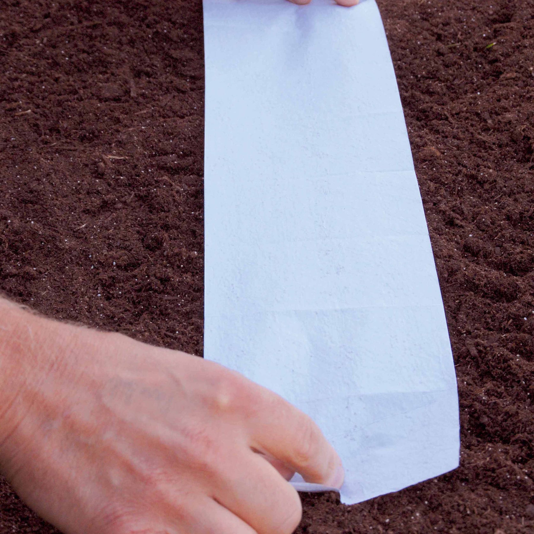 Verkoop Zaadmat 'Zomerbloeiers' (x5) - Tapis de graines massif ensoleillé