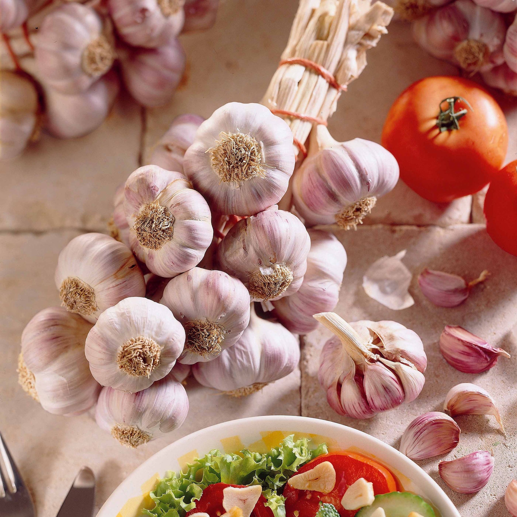 Paarse knoflook 'Germidour' - Willemse