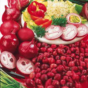 Rode ui 'Brunswick' - Willemse