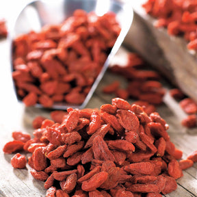 Verkoop Goji bes