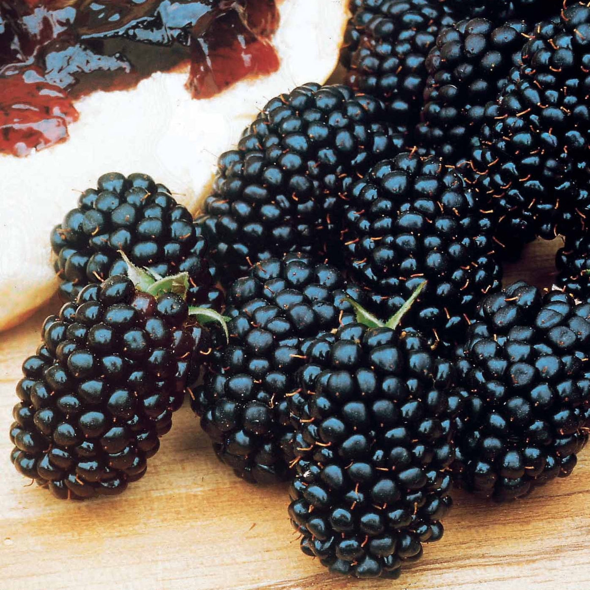 Braam 'Dirksen' - Willemse