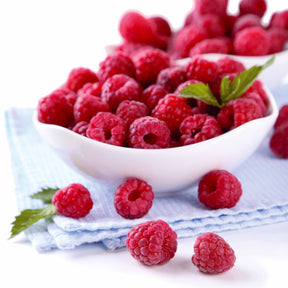 Framboos 'Heritage' - Rubus idaeus Heritage - Willemse