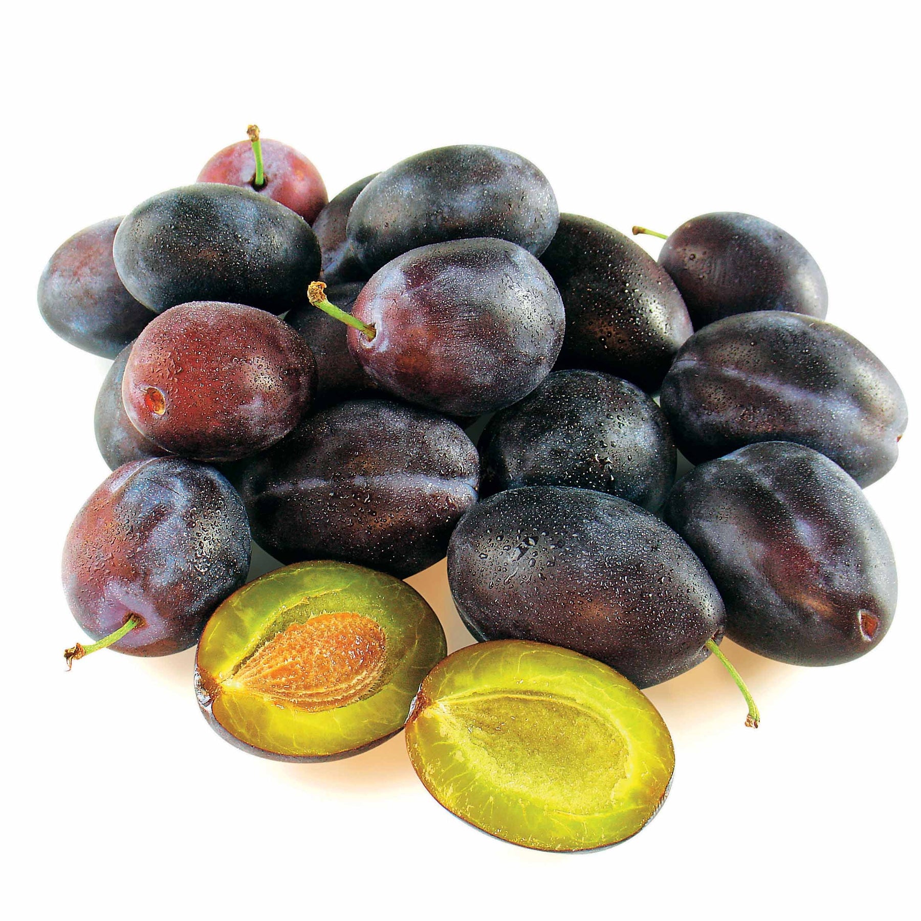 Verkoop Pruimenboom 'Quetsche d'Alsace'