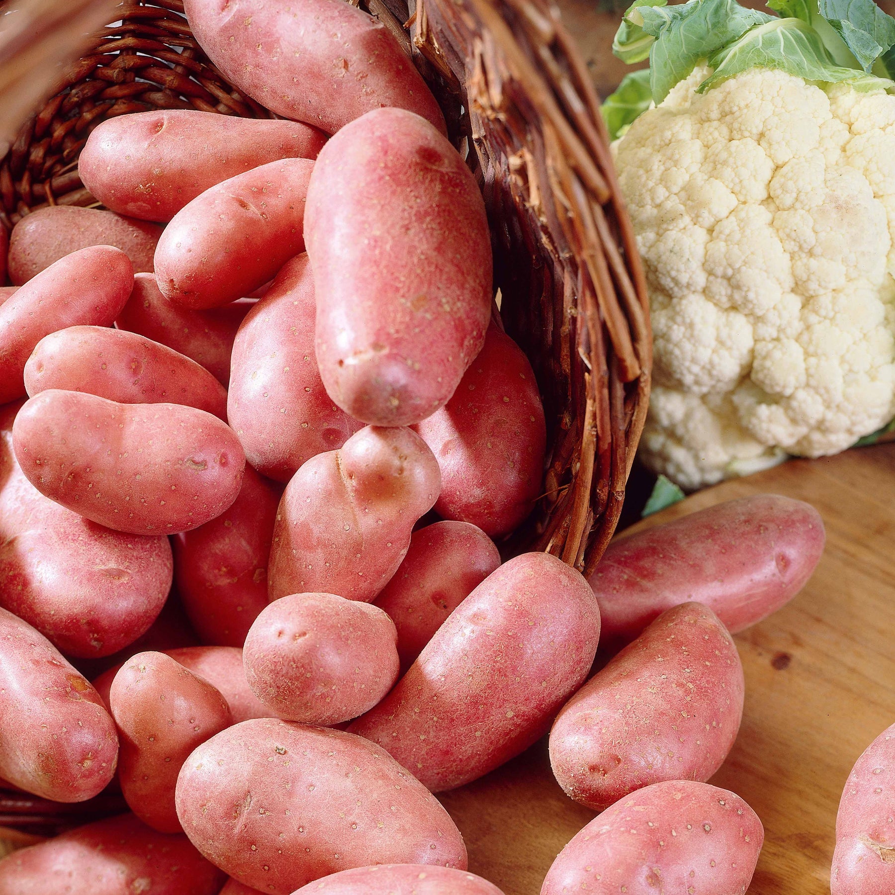 Aardappel 'Jeanette' (x25) - Willemse