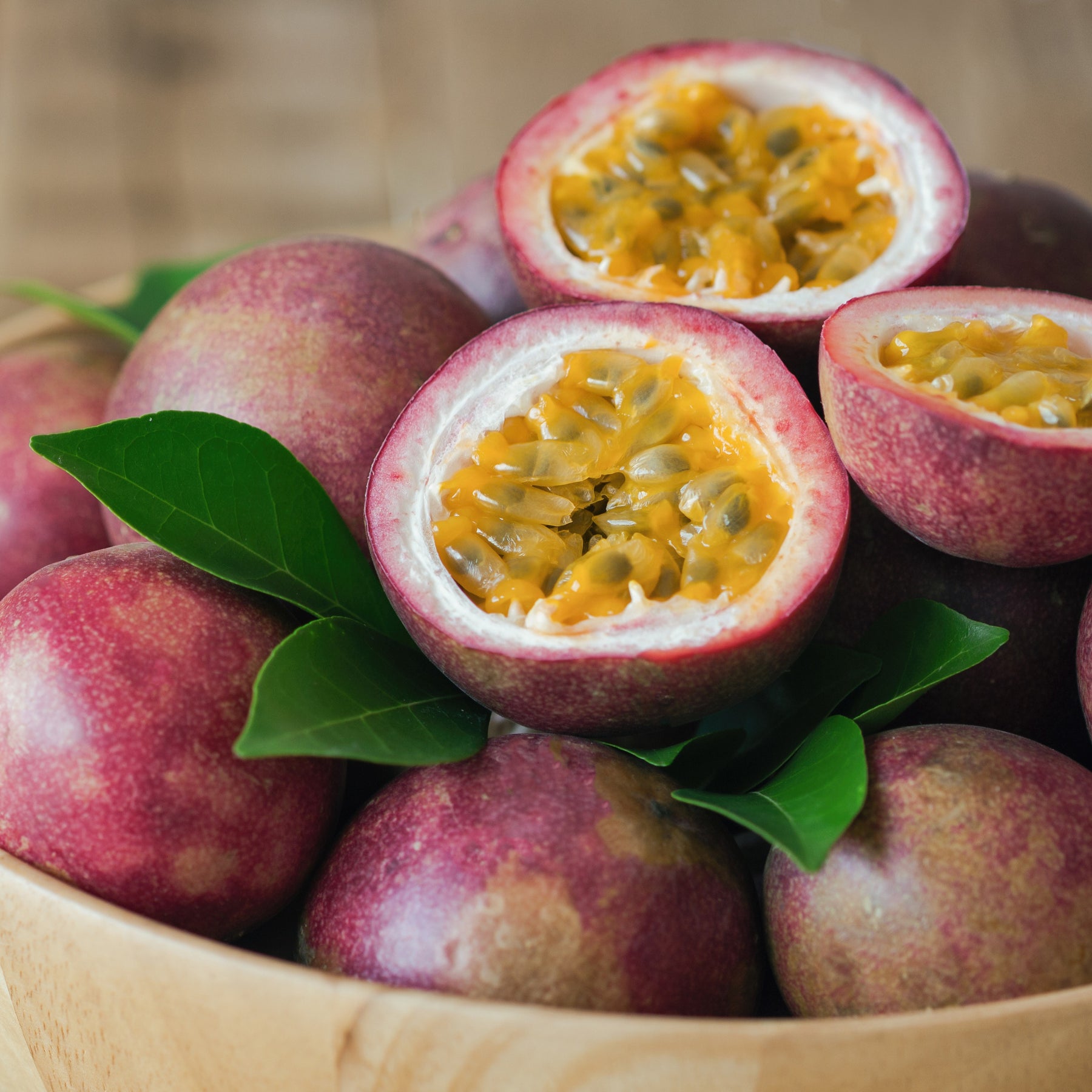 Passiebloem 'Frederick' - Passiflora edulis frederick