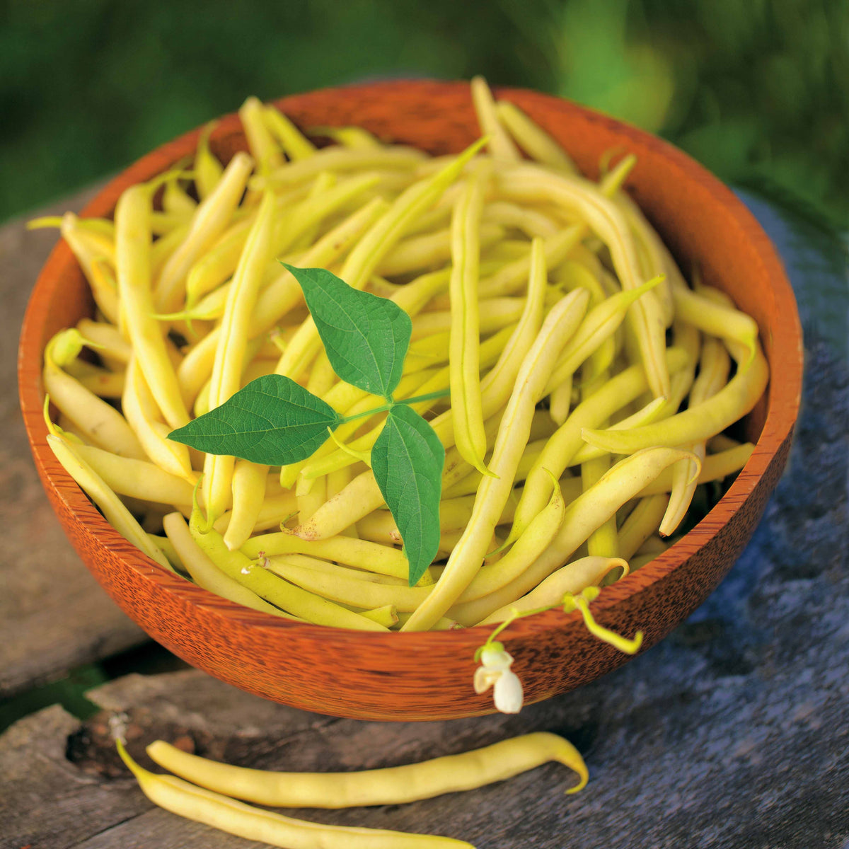 Boterboon 'Fructidor' - Willemse