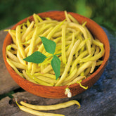 Boterboon 'Fructidor' - Willemse