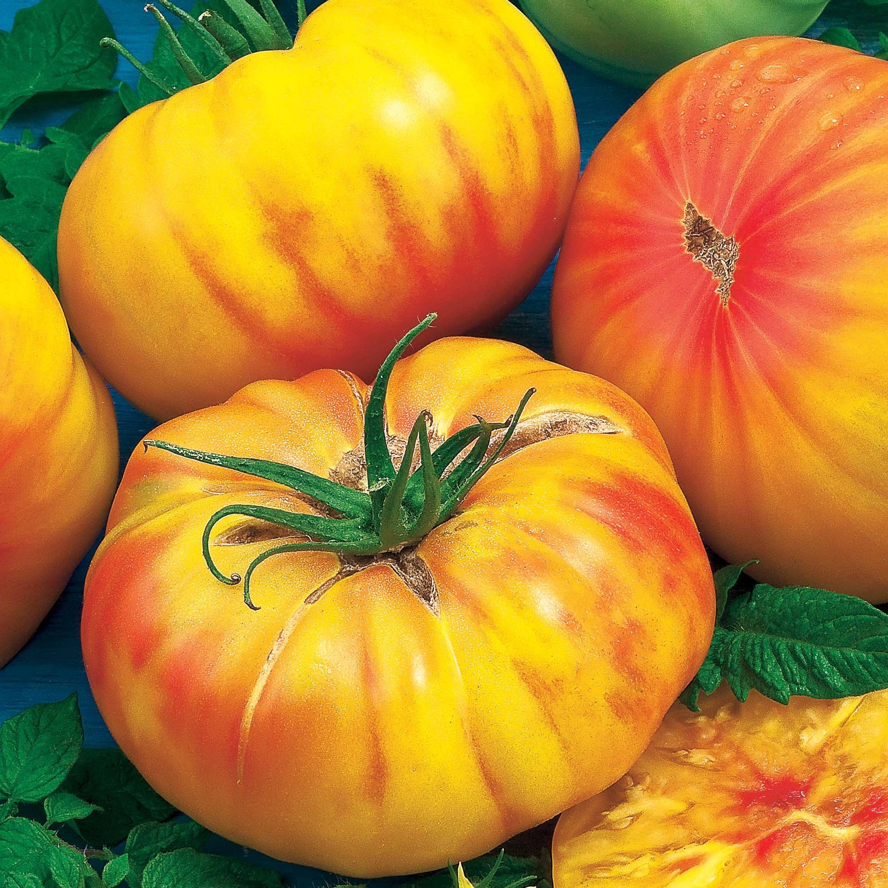 Solanum lycopersicum ananas - Ananastomaat - Tomatenzaden