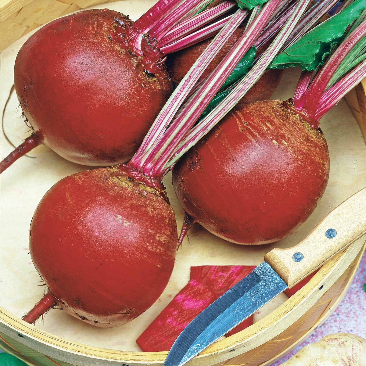 Bieten 'Kogel 5 Loki' - Beta vulgaris rouge de détroit 5 race loki(25 g) - Willemse