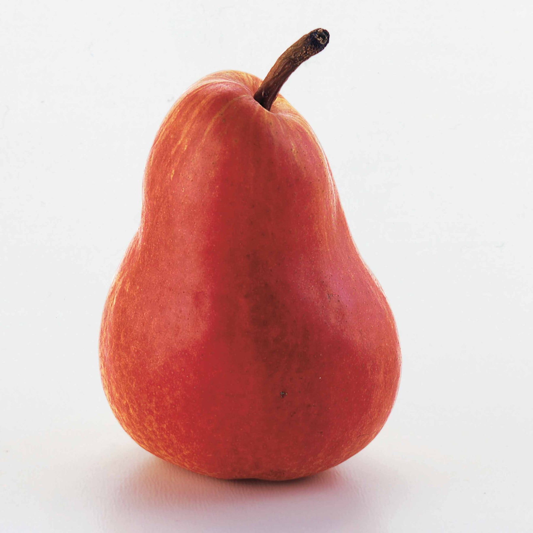 Perenbomen - Perenboom 'William's Rouge' - Pyrus communis William's red