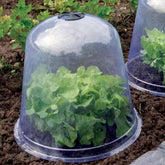 Set van 3 plantenstoplen -  - Willemse