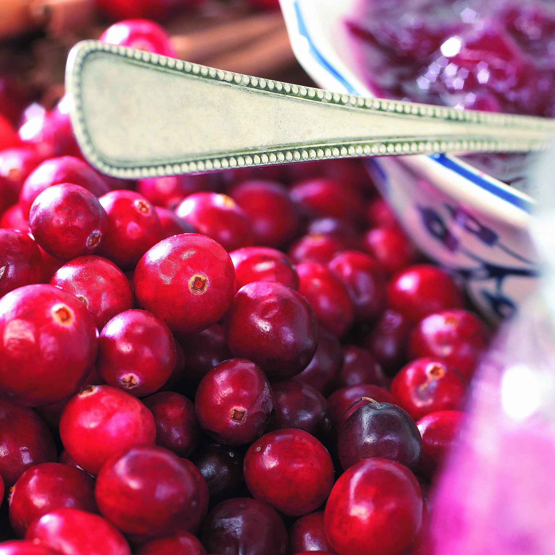 Verkoop Veenbes (Cranberry)