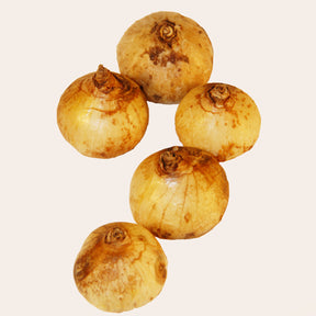 Dichelostemma congestum - Dichelostemma - Voorjaarsbloeiers