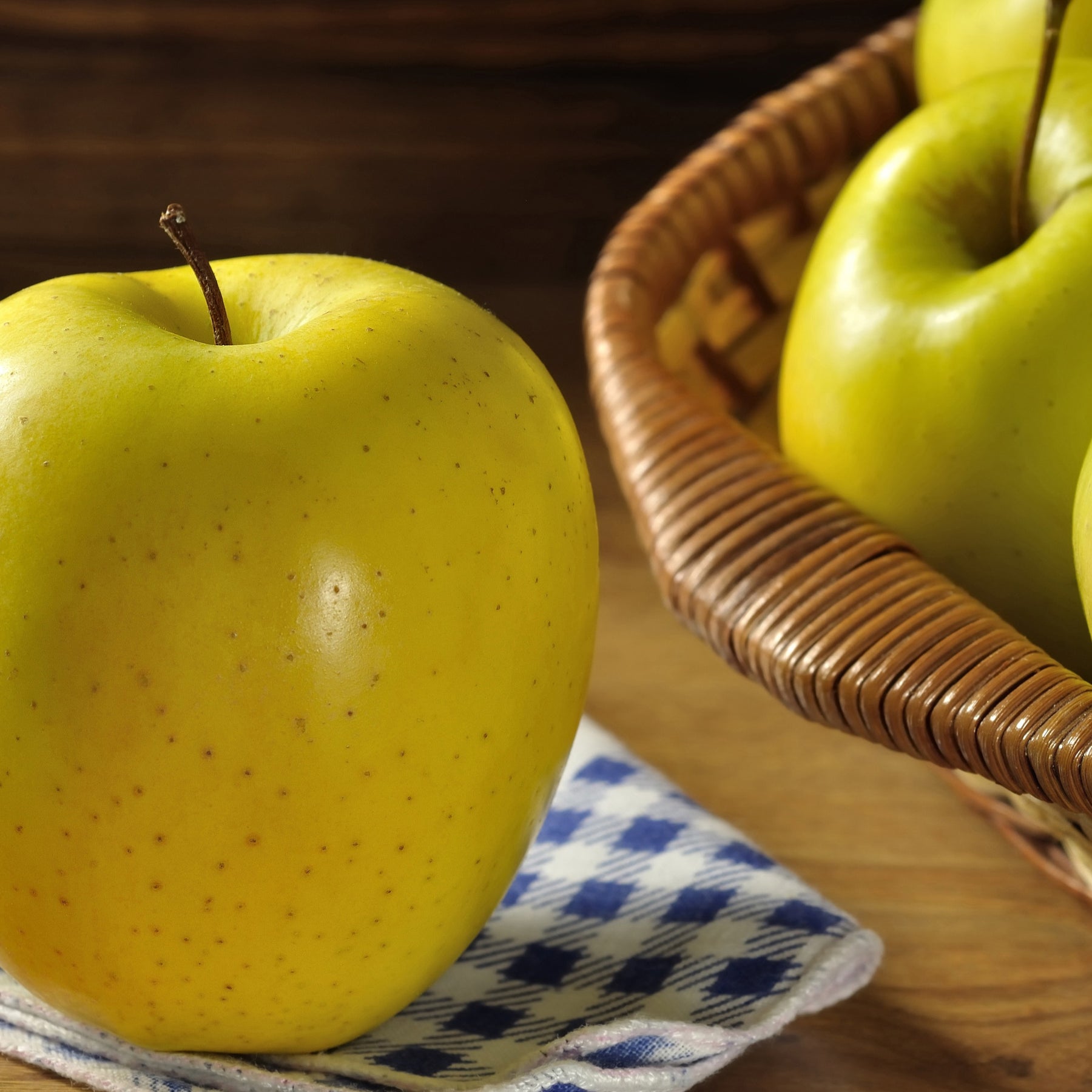 Appelboom 'Golden Yellow Star' - Malus domestica Golden Yellow Spur - Willemse
