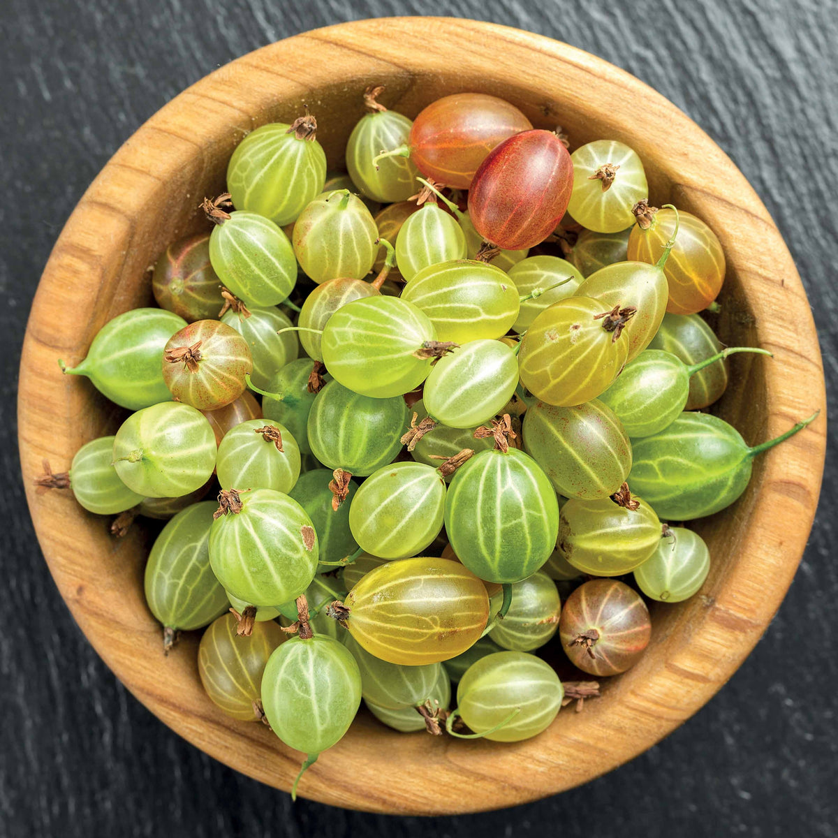 Kruisbes 'Invictica' - Willemse