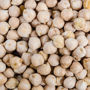 Kikkererwt - Cicer arietinum - Willemse