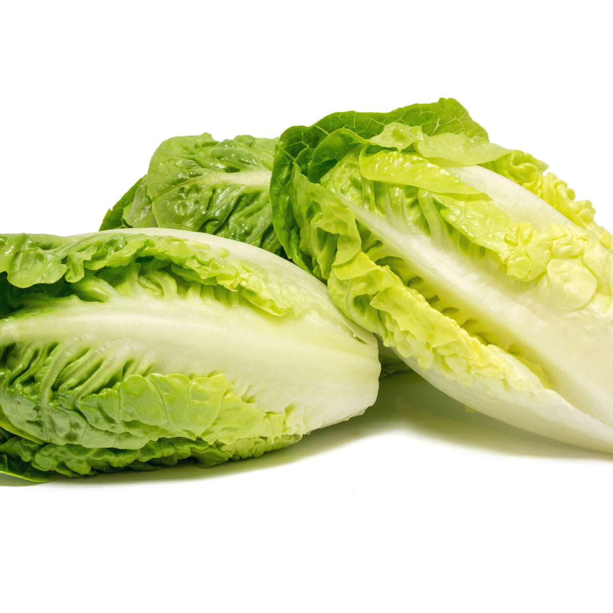 Little gem - Willemse