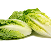 Little gem - Willemse