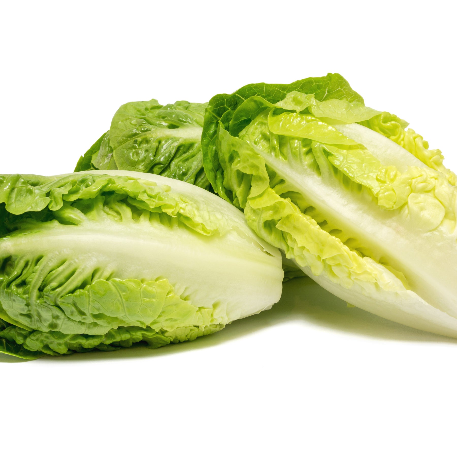 Little gem - Willemse