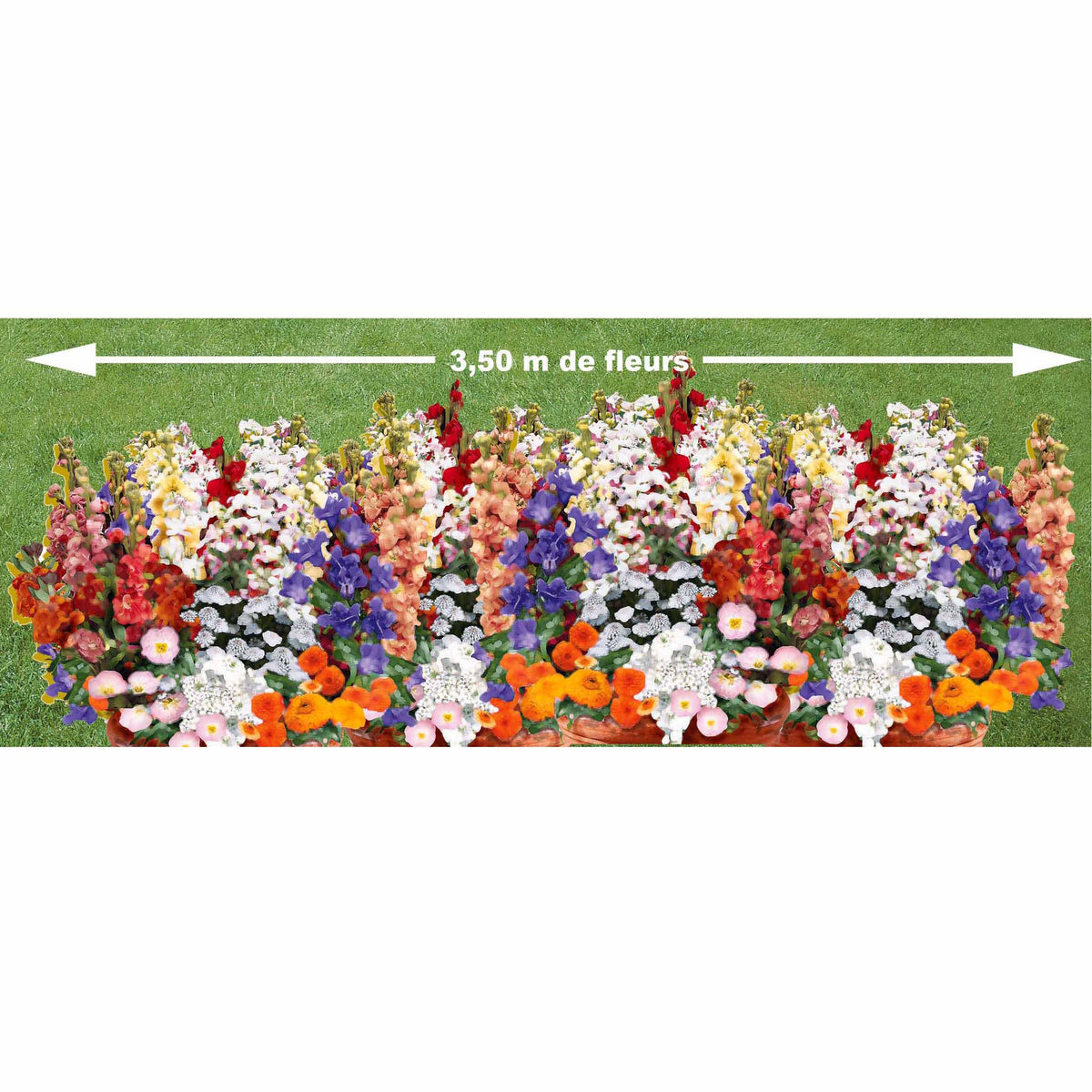 Geurig bloementapijt Mix - Willemse