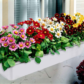 Dahlia 'Topmix' (x5) - Dahlias topmix - Willemse