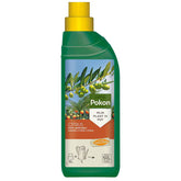 Pokon citrusbomen en Mediterrane planten voeding - Willemse