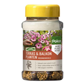 Voedingskegels terras & balkonplanten - Pokon - Willemse