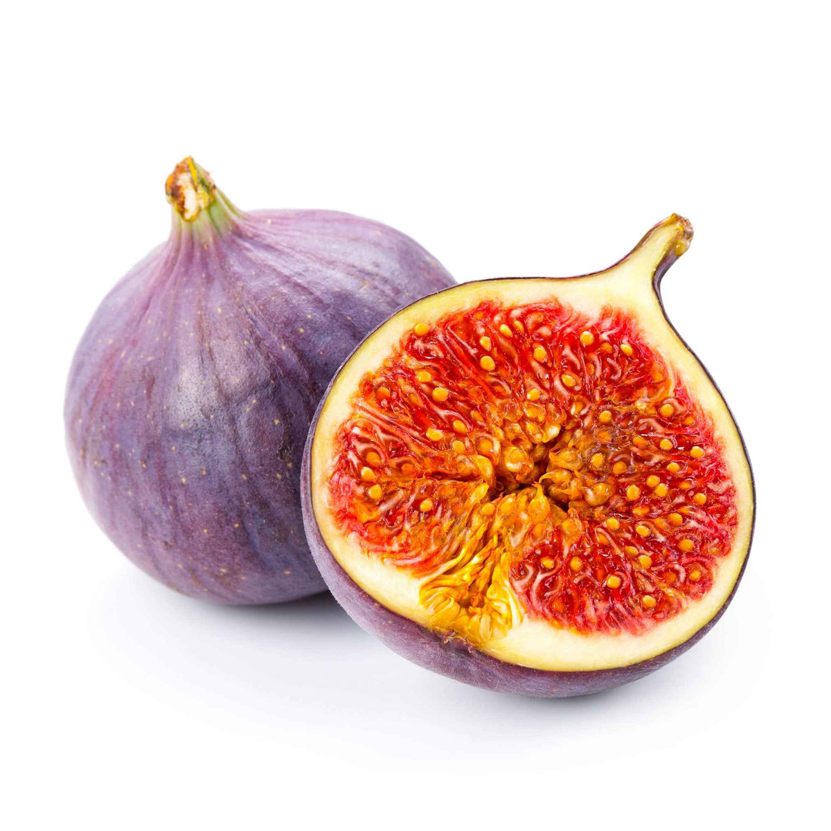 Vijgenboom Ficus 'Perretta' -  Winterhard - Ficus carica Gustissimo Perretta - Willemse