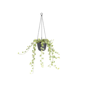 Hanging basket Elho brussels antraciet