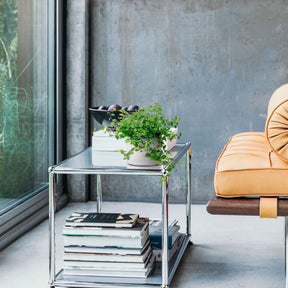 Klimvijg 'White Sunny' - Willemse