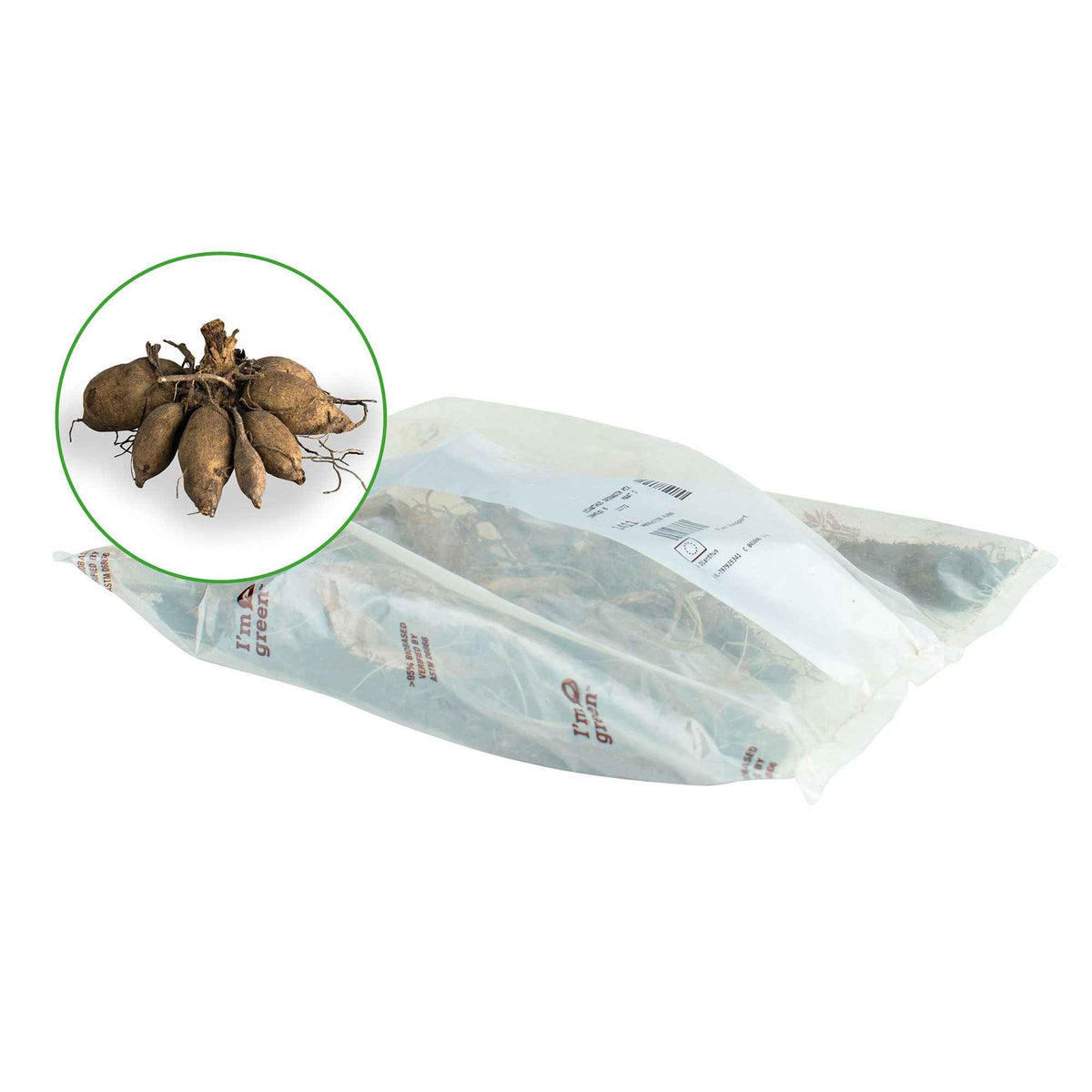 Dahlia 'lavender perfection' - Dahlia 'Lavender Perfection' (x3) - Dahlia 