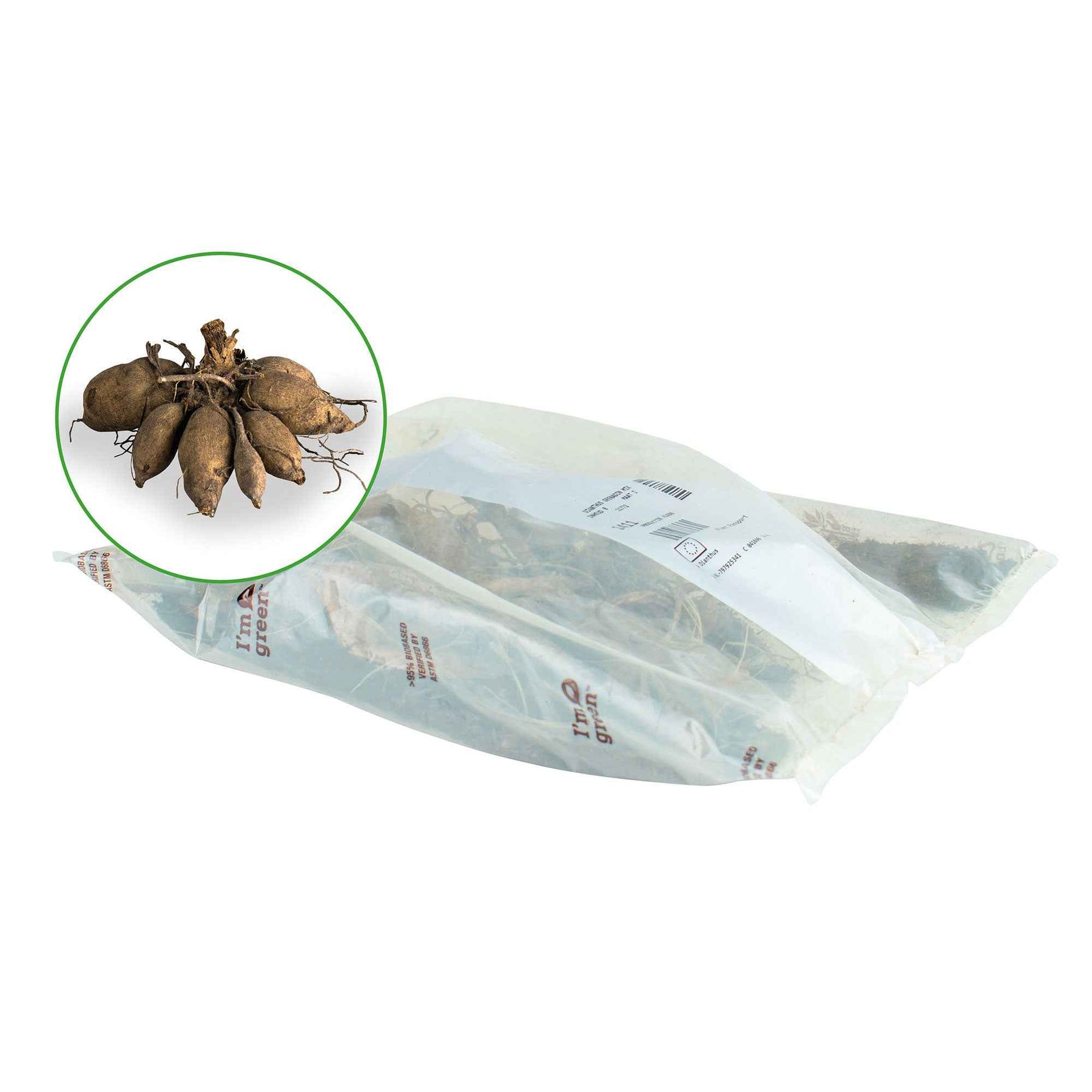 Verkoop Dahlia - Mix (x5)