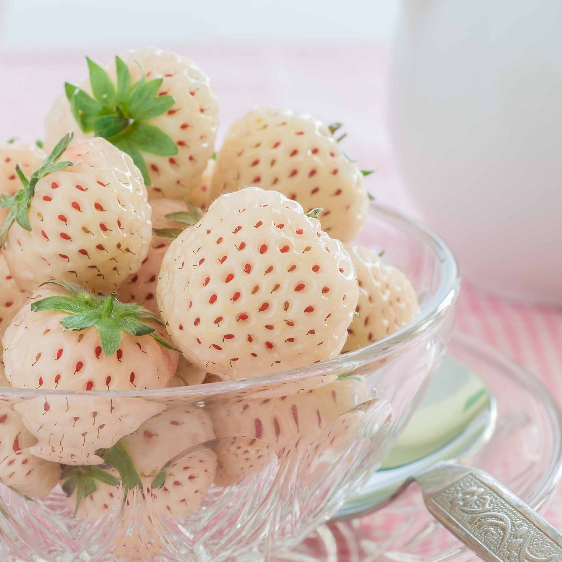 Aardbei 'Pineberry' (x2) - Fragaria pineberry white dream ® - Kleine fruitbomen