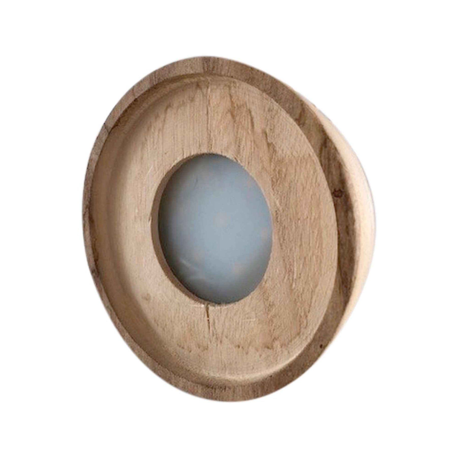 Verkoop Clusia in Bolglas met ledverlichting - Hydroponie - Clusia