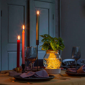Monstera in Bolglas met ledverlichting - Hydroponie - Monstera - Willemse