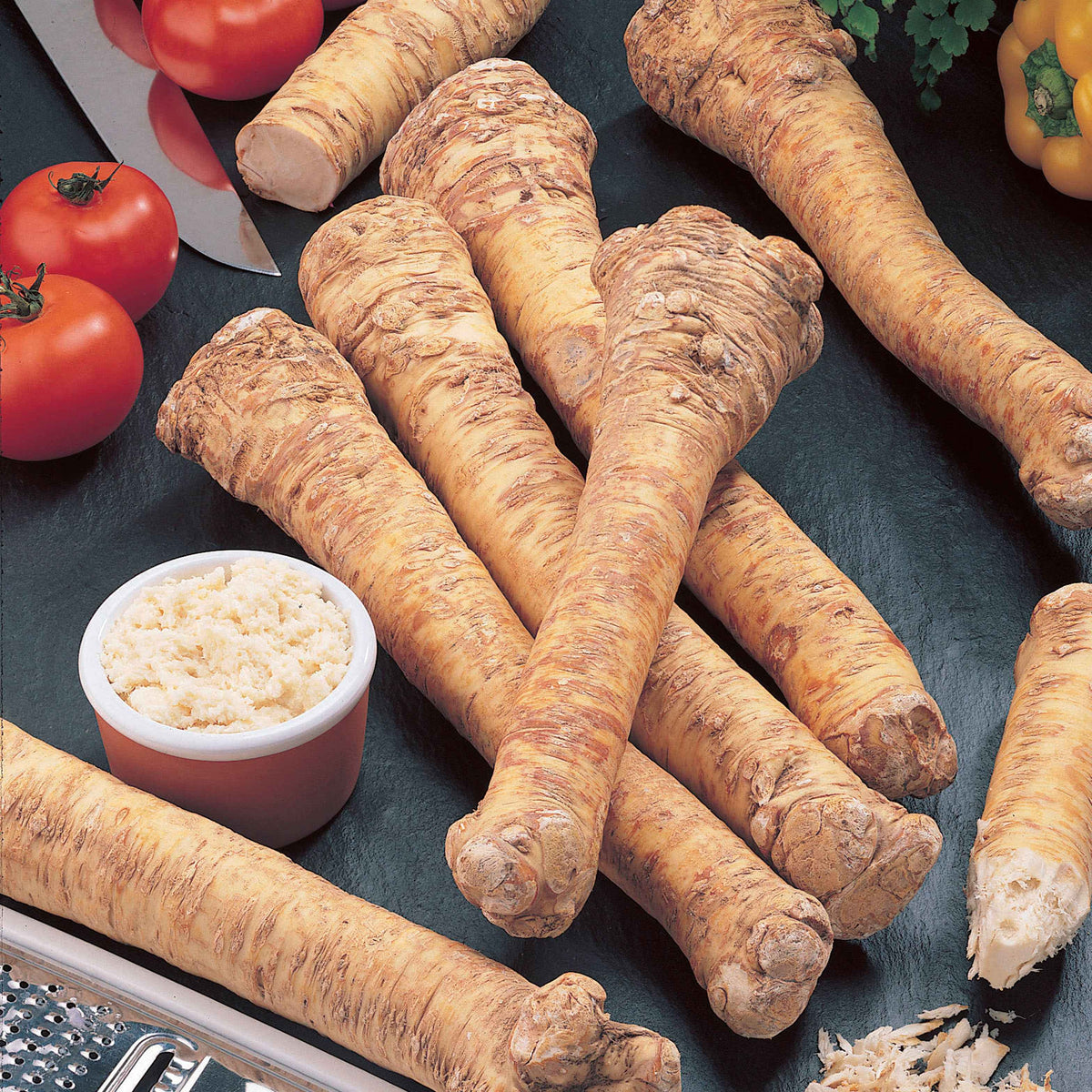 Mierikswortel - Willemse