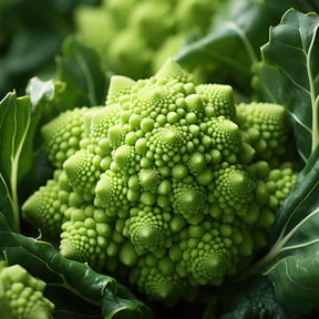 Romanesco