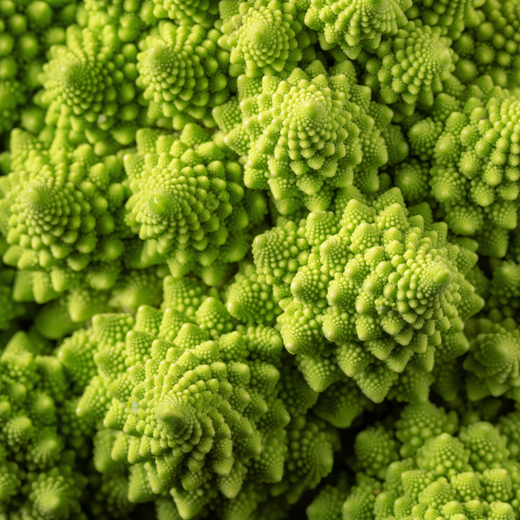 Romanesco